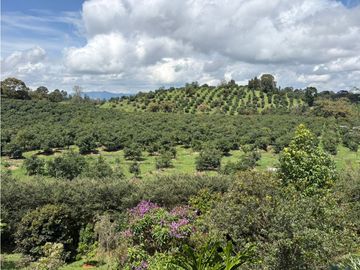 place photo 63