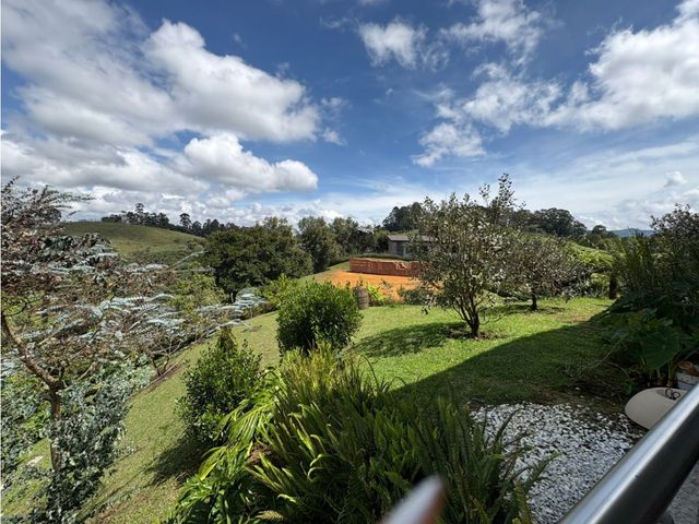place photo 61