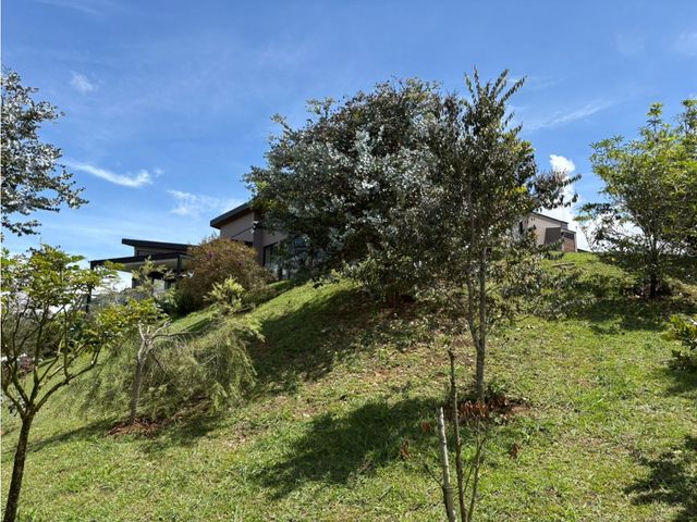 place photo 59