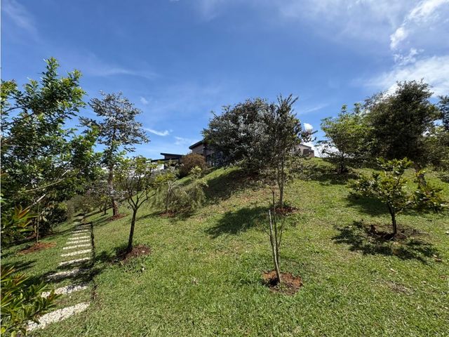 place photo 57