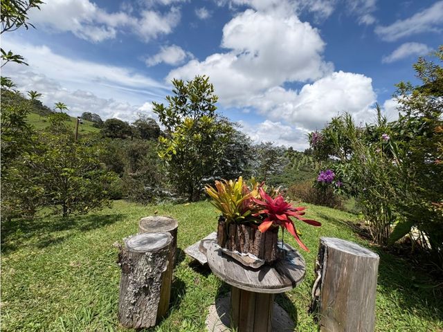 place photo 54