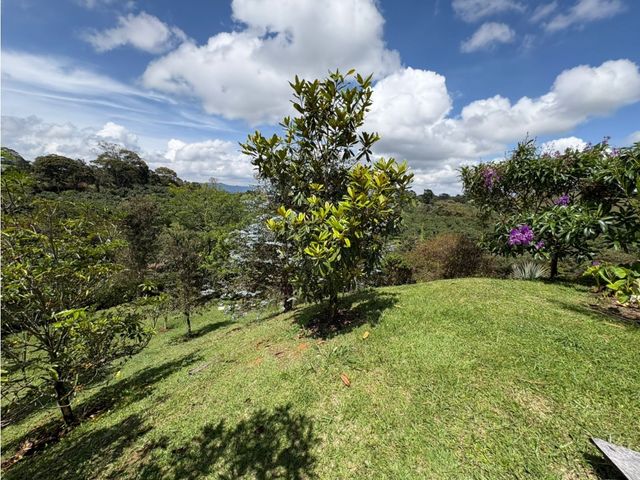 place photo 55