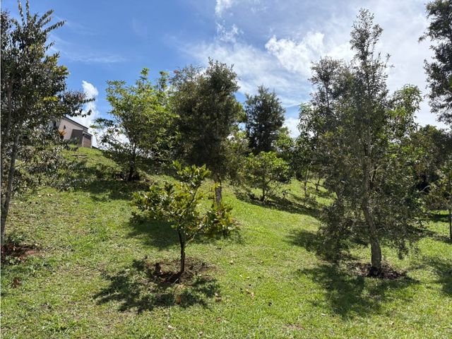 place photo 60