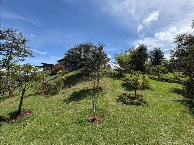 place photo 62