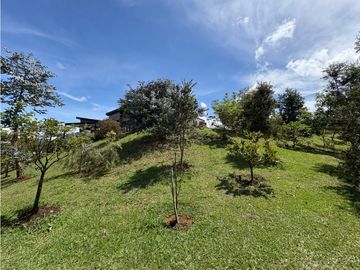 place photo 62