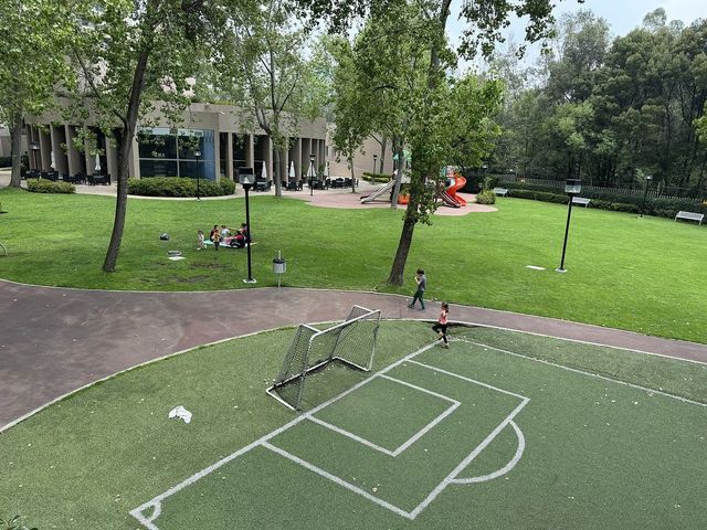 place photo 24