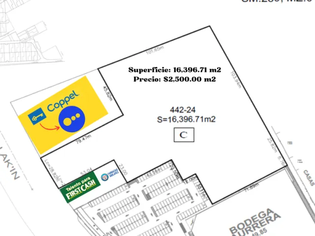 place photo 5