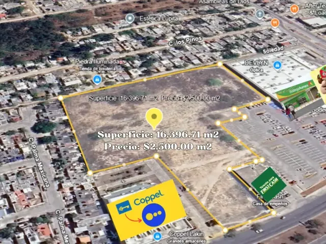 place photo 1