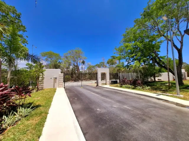 place photo 20