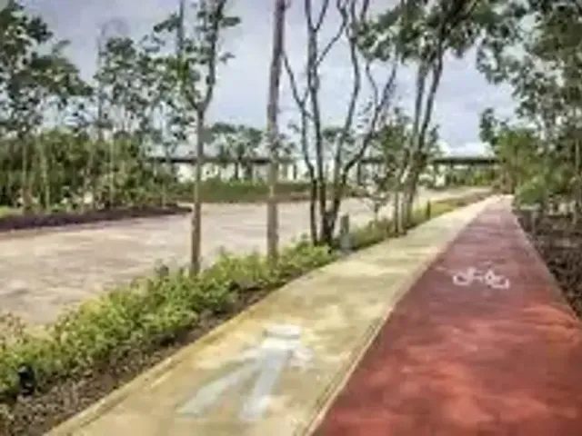 place photo 24