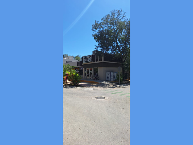 place photo 16