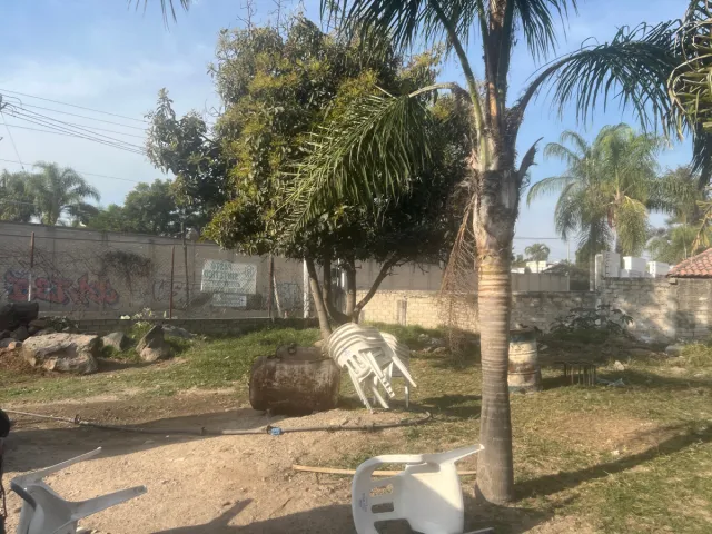 place photo 18