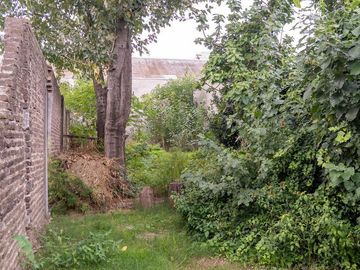 place photo 23