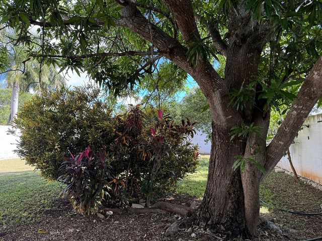place photo 31