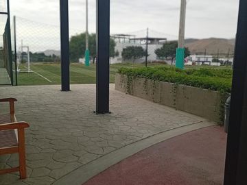 place photo 26