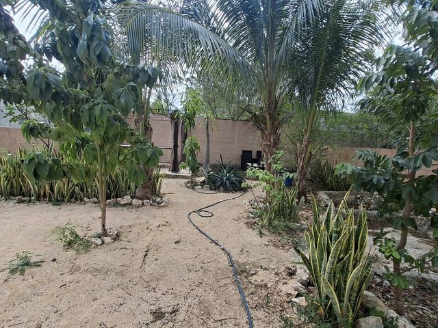 place photo 17