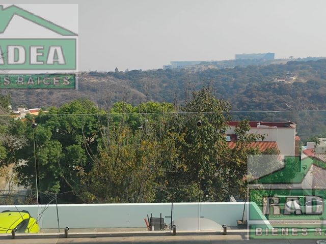 place photo 47