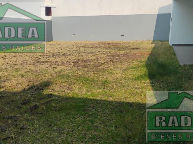 place photo 45