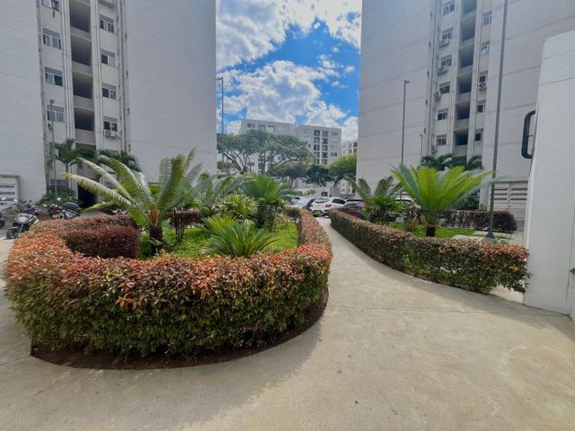place photo 18