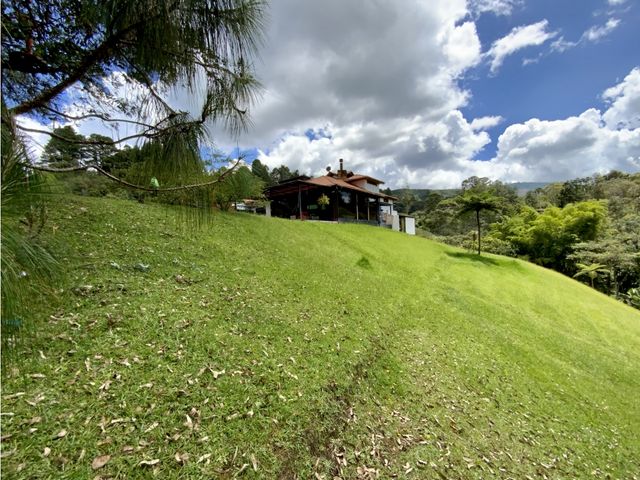 place photo 51