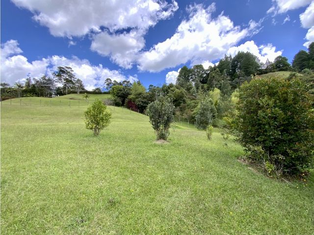 place photo 48