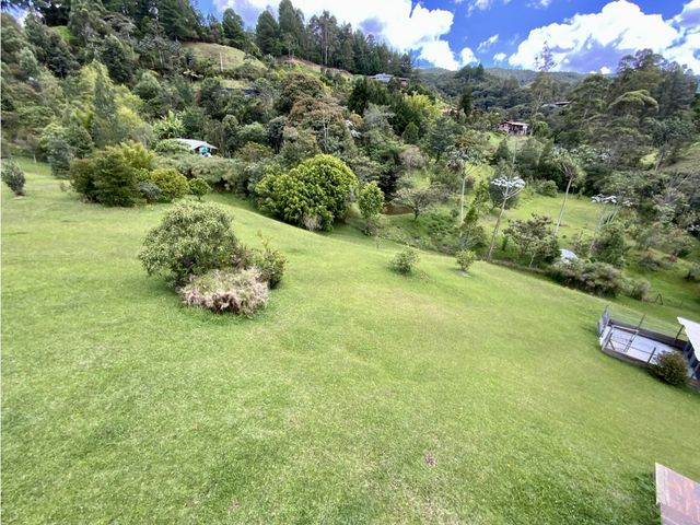 place photo 54