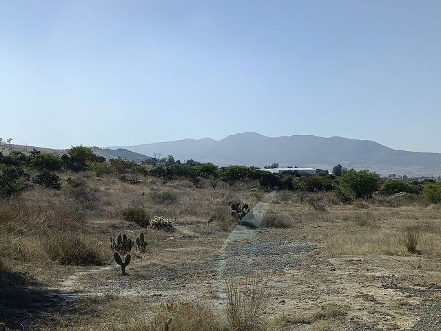 place photo 23