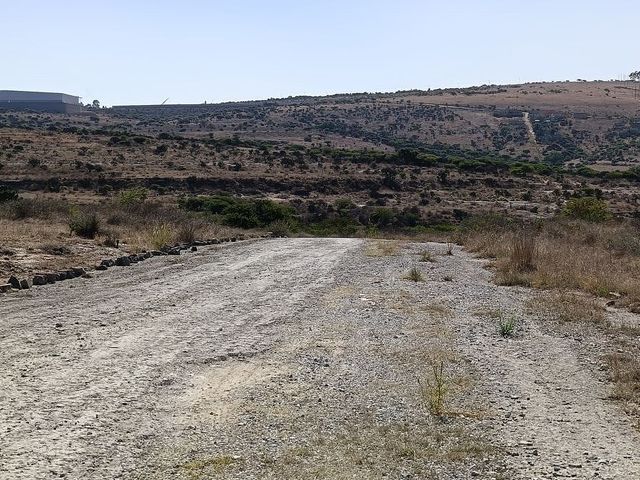 place photo 18