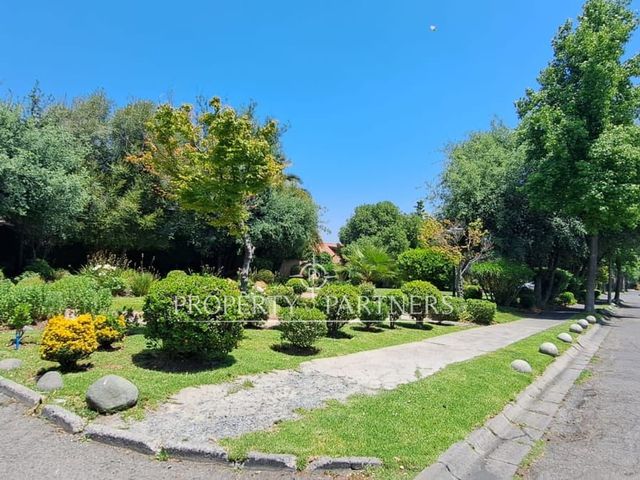 place photo 44
