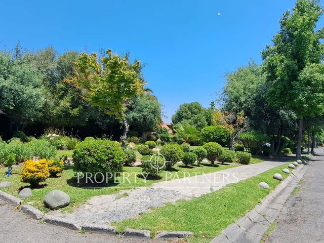 place photo 44