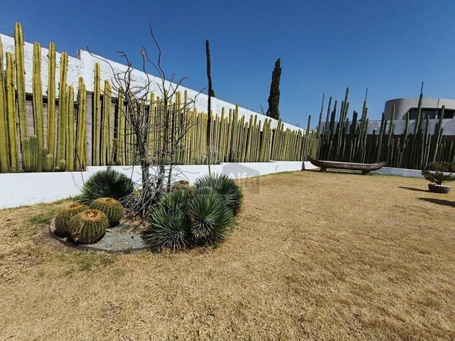 place photo 42