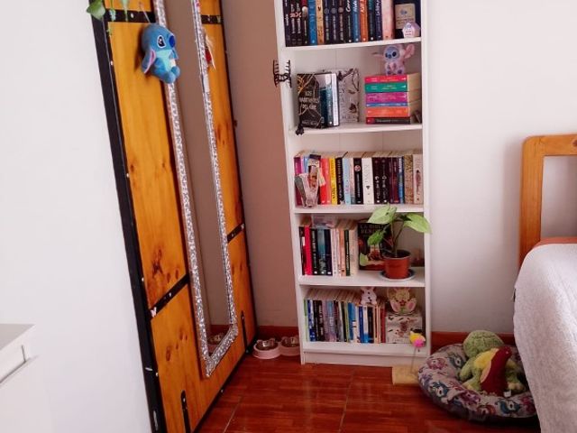 place photo 20