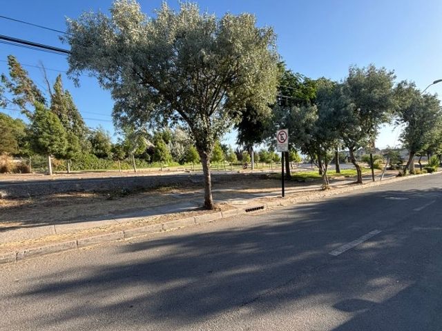 place photo 22