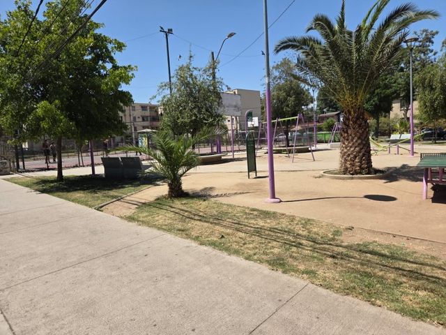 place photo 29