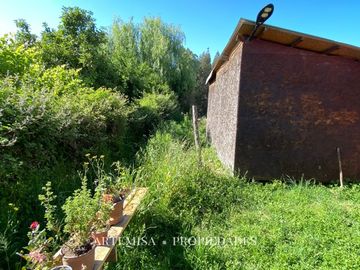 place photo 19