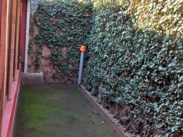 place photo 20
