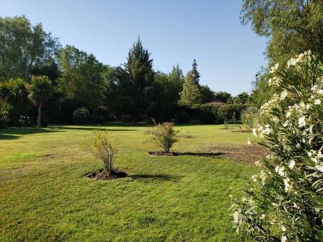 place photo 29