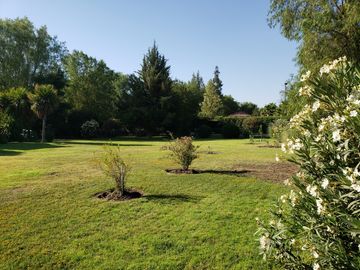 place photo 29