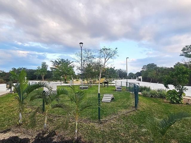 place photo 11