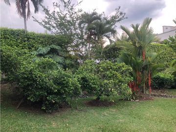 place photo 59