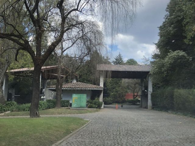 place photo 22