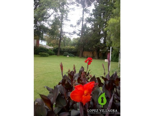 place photo 27