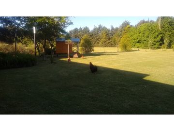 place photo 37