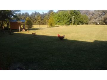 place photo 36