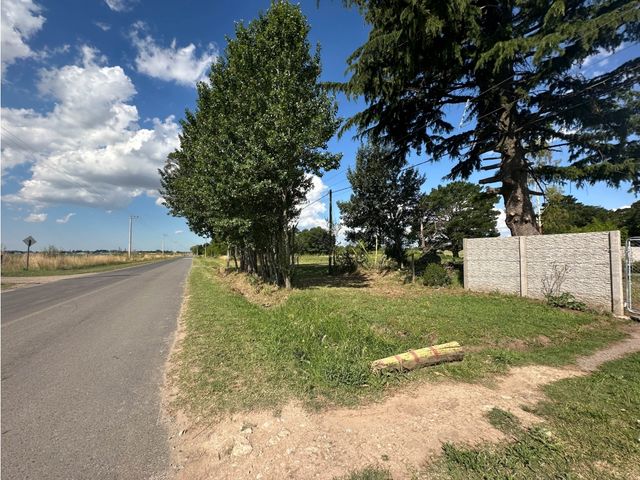 place photo 38
