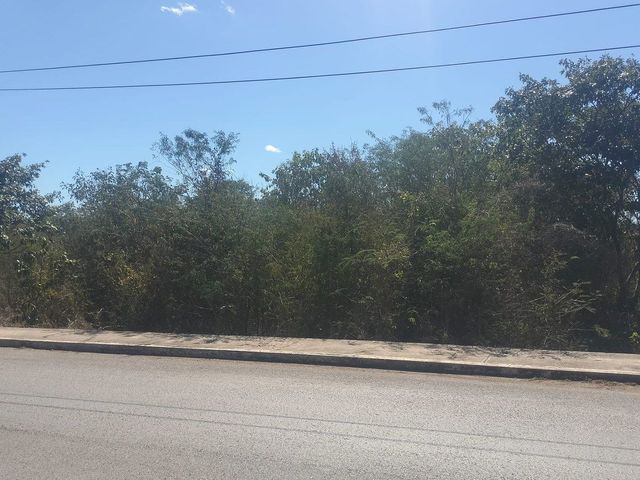 place photo 15