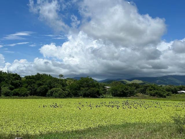 place photo 38
