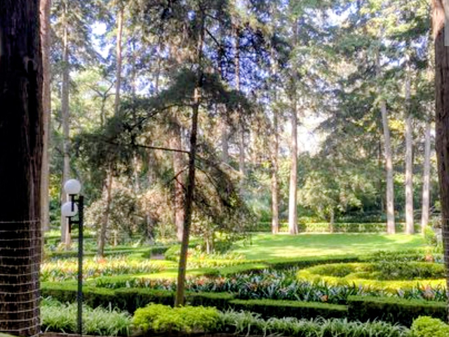 place photo 37