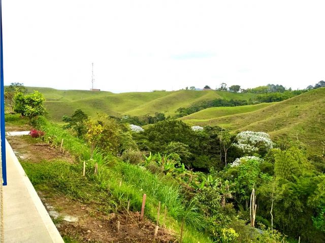 place photo 49