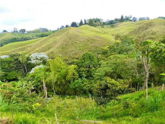 place photo 61
